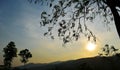 Backlit trees branches and sunset sky on evening time Royalty Free Stock Photo