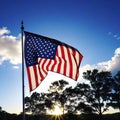 Backlit US flag in nature for Labor Photo