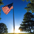 Backlit US flag in nature for Labor Photo