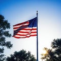 Backlit US flag in nature for Labor Photo