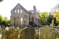 A backlit view of the ruins of the historic Greyabbey Monastery