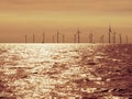 Backlit view of wind farm Fryslan in IJsselmeer lake, Netherlands