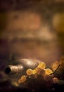 Backlited wine bottle and grapes with copy space Royalty Free Stock Photo