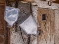 Backpack containers for carrying milk Royalty Free Stock Photo