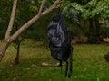 A backpack hangs on a tree branch in a park Royalty Free Stock Photo