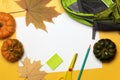 Backpack, school supplies, orange leaves and pumpkins on yellow background. Royalty Free Stock Photo