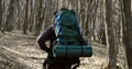 Backpacked Male Tourist in Forest