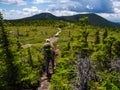 Backpacker on Appalachian Trail in Maine Mountains, Mahoosuc Range Royalty Free Stock Photo