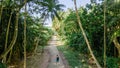 Backpacker exploring alone hiking trail in the tropical jungles at Manadhoo island capital of Noonu atoll