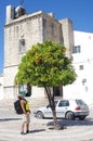 Backpacker looking at orange tree on a city historic square