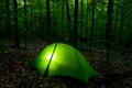 Backpacking Tent At Dusk, Silver Lake Wilderness Area, Adirondack Forest Preserve, New York USA