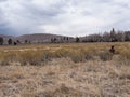 Backpacker Sits and Stares at Dunes at Great Sand Dunes National