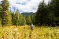 Backpacker walking high grass meadow. Royalty Free Stock Photo