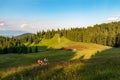 Backpackers trekking in sunset light, Velka Fatra, Western Carpathians, Slovakia Royalty Free Stock Photo