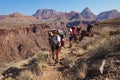 Backpackers on the Tonto Trail in the Grand Canyon.