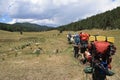 Backpacking across a Meadow in New Mexico Royalty Free Stock Photo