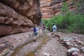 Backpacking family hiking in Hance Creek in the Grand Canyon.