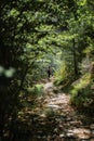 Backpacking woman at the end of a trail in dense forest of Pyrenees