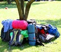 Backpacks of Boy Scouts around the tree during an excursion 2 Royalty Free Stock Photo