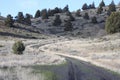 Backroad Winding through Desert Hills Royalty Free Stock Photo