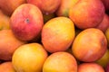 Backround of new harvest mango for sale at city market Royalty Free Stock Photo
