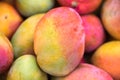 Backround of new harvest mango for sale at city market Royalty Free Stock Photo