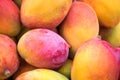 Backround of new harvest mango for sale at city market Royalty Free Stock Photo