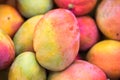 Backround of new harvest mango for sale at city market Royalty Free Stock Photo