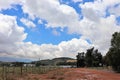 Backsberg vineyard in South Africa