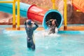 Backside of asian child girl is looking at her father slide down on water slide in a water park with excited