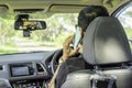 Backside of asian short hair sit in car and use smartphone,car p