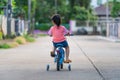 Backside of asian toddler girl child learning to ride bicycle in sunny summer day, kid cycling at park, baby sport concept Royalty Free Stock Photo