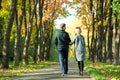 Backside of girl and guy hand in love. love, relationship, family and people concept - happy couple walking in summer