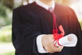 Backside graduation hats during commencement success graduates