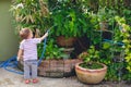 Backside of little Asian 2 year old toddler baby boy child having fun watering the plants from hose spray in the garden at home Royalty Free Stock Photo