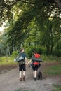 Backside photo of couple walking in forest at summer with backpack Royalty Free Stock Photo