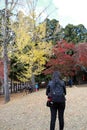 Backside of tourist girl in black dress and backpack, standing at Kasugano-enchi Park on autumn with yellow and red tree.