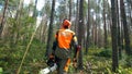 Backside view of an axeman walking among the trees