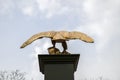 Backside View Eagle Statue At The Artis Zoo At Amsterdam The Netherlands 17-3-2023 Royalty Free Stock Photo