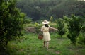 Backside young gardener Asia woman smiling and carrying the basket Thai in the honey tangerine oranges garden, Happiness and