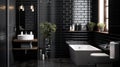 backsplash black subway tile