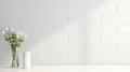 backsplash subway tile white