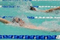 Backstroke swimmers Royalty Free Stock Photo
