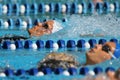 Backstroke women: Alpe Adria Summer Games 2010 Royalty Free Stock Photo