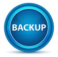 Backup Eyeball Blue Round Button Royalty Free Stock Photo