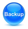 Backup glassy cyan blue round button Royalty Free Stock Photo
