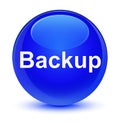 Backup glassy blue round button Royalty Free Stock Photo