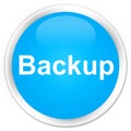 Backup premium cyan blue round button Royalty Free Stock Photo