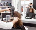 Backview of hairstyler drying female client`s curly hair.