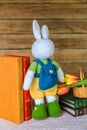 Backview of a knitted white rabbit with a rucksack with books